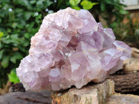 Natural Jacaranda Amethyst Quartz Cluster x 2 From Mumbwa, Zambia - Toprock Gemstones and Minerals 