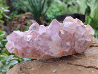 Natural Jacaranda Amethyst Quartz Cluster x 2 From Mumbwa, Zambia - Toprock Gemstones and Minerals 