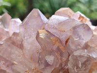 Natural Jacaranda Amethyst Quartz Cluster x 2 From Mumbwa, Zambia - Toprock Gemstones and Minerals 
