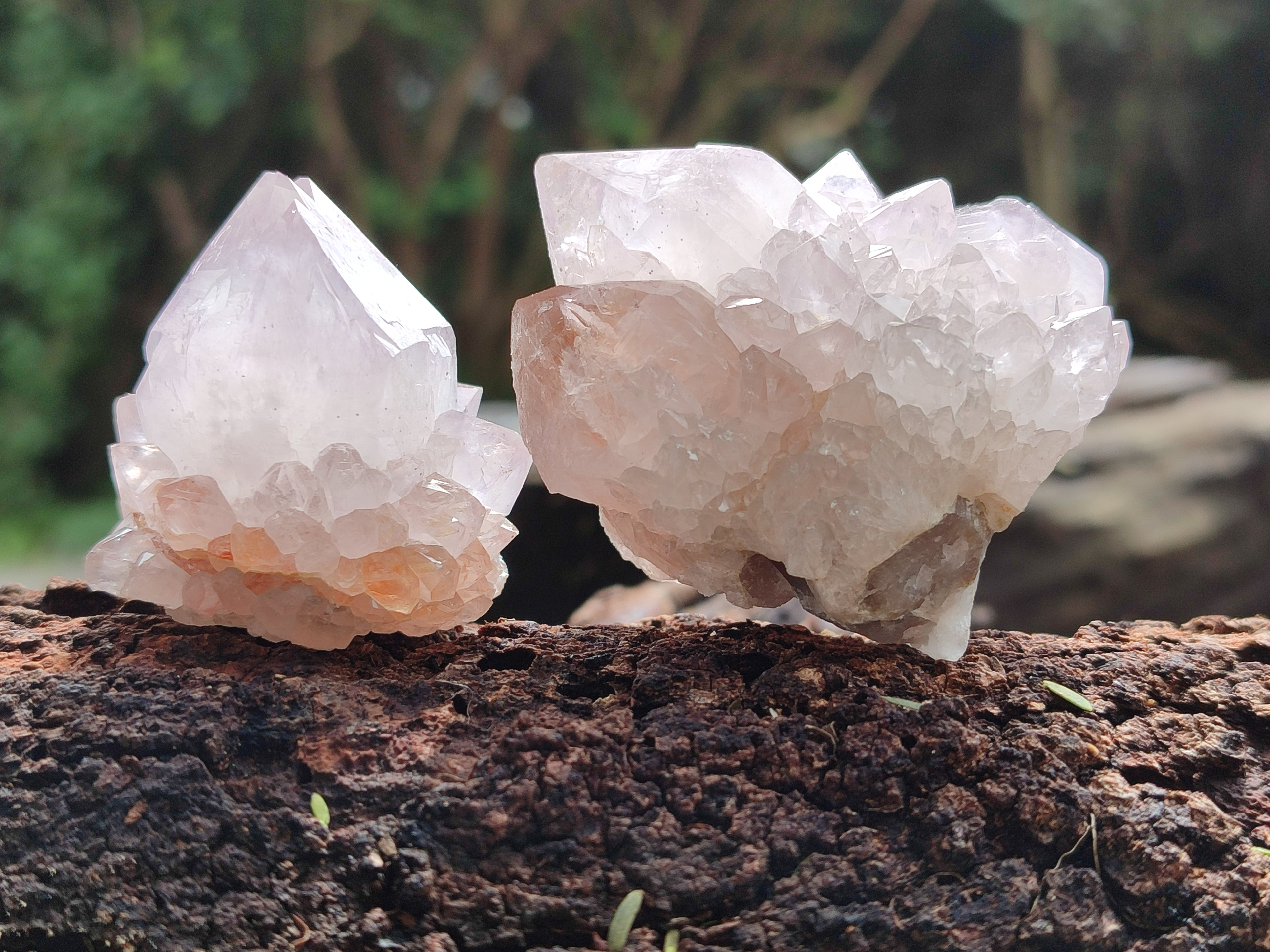 Natural Amethyst Spirit Quartz Clusters x 12 From Boekenhouthoek, South Africa - Toprock Gemstones and Minerals 