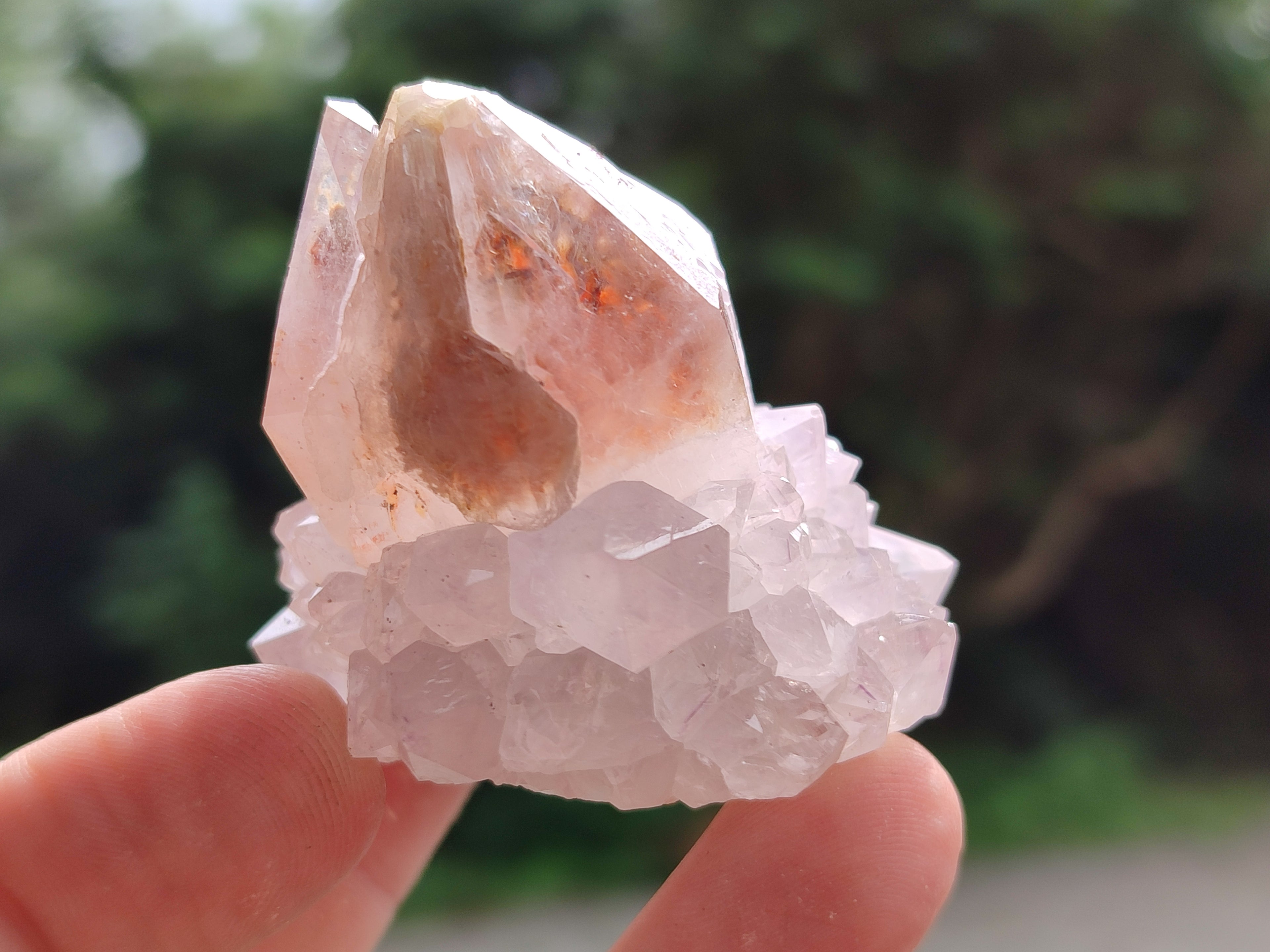 Natural Amethyst Spirit Quartz Clusters x 12 From Boekenhouthoek, South Africa - Toprock Gemstones and Minerals 