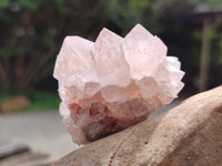 Natural Amethyst Spirit Quartz Clusters x 12 From Boekenhouthoek, South Africa