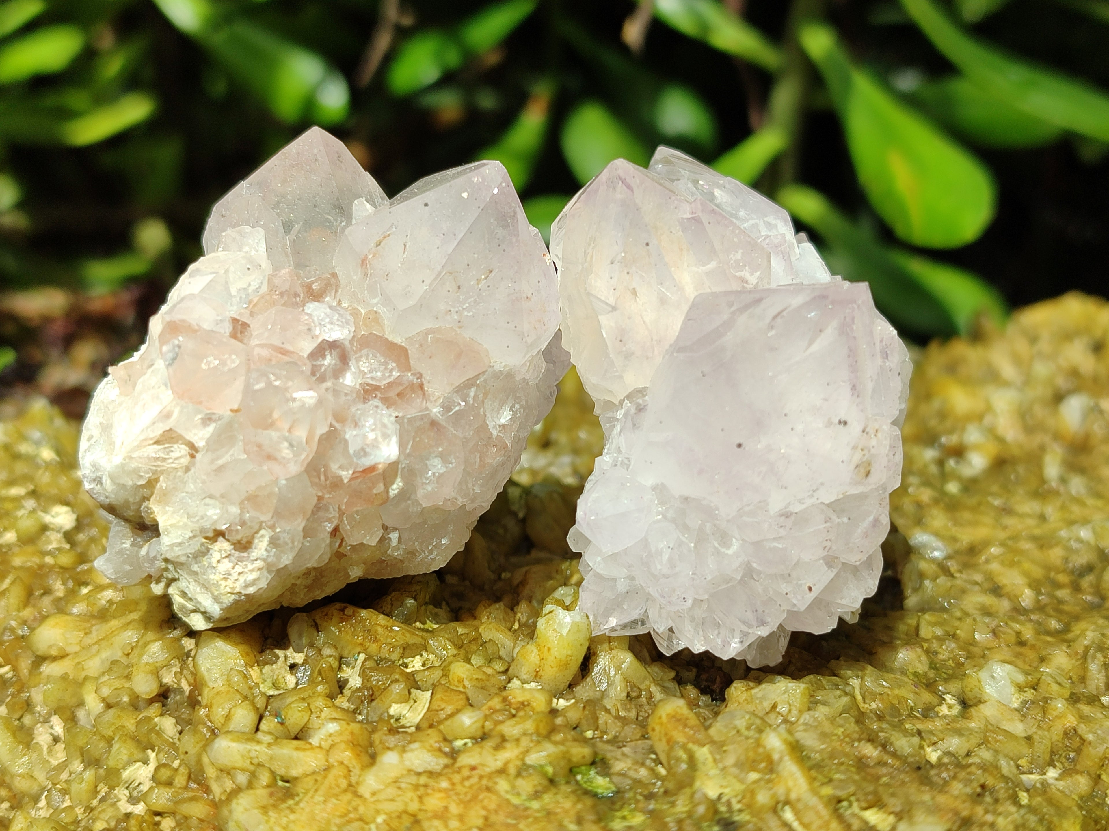 Natural Amethyst Spirit Quartz Clusters x 12 From Boekenhouthoek, South Africa - Toprock Gemstones and Minerals 