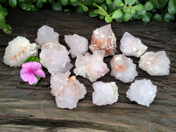 Natural Amethyst Spirit Quartz Clusters x 12 From Boekenhouthoek, South Africa