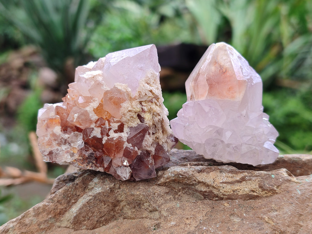 Natural Amethyst Spirit Quartz Clusters x 12 From Boekenhouthoek, South Africa - Toprock Gemstones and Minerals 