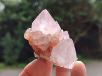 Natural Amethyst Spirit Quartz Clusters x 12 From Boekenhouthoek, South Africa