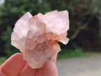 Natural Amethyst Spirit Quartz Clusters x 12 From Boekenhouthoek, South Africa - Toprock Gemstones and Minerals 