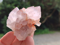Natural Amethyst Spirit Quartz Clusters x 12 From Boekenhouthoek, South Africa