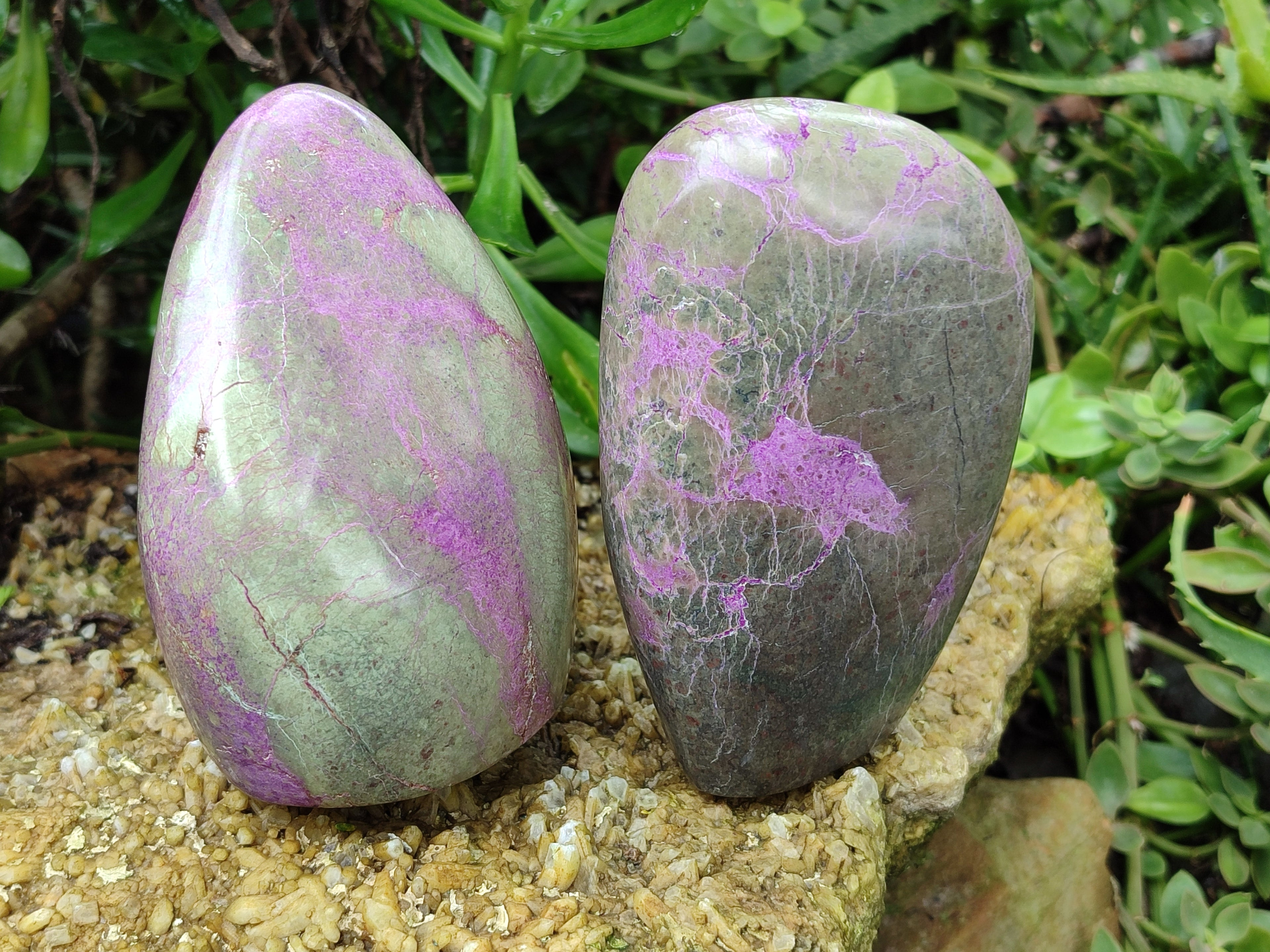 Polished Stichtite Standing Free Forms x 2 From Barberton, South Africa - Toprock Gemstones and Minerals 