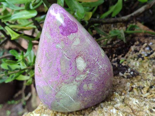 Polished Stichtite Standing Free Forms x 2 From Barberton, South Africa - Toprock Gemstones and Minerals 