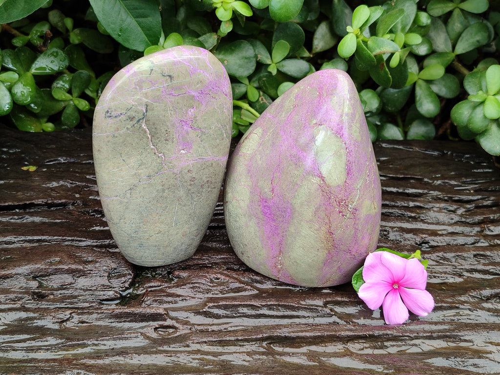 Polished Stichtite Standing Free Forms x 2 From Barberton, South Africa - Toprock Gemstones and Minerals 