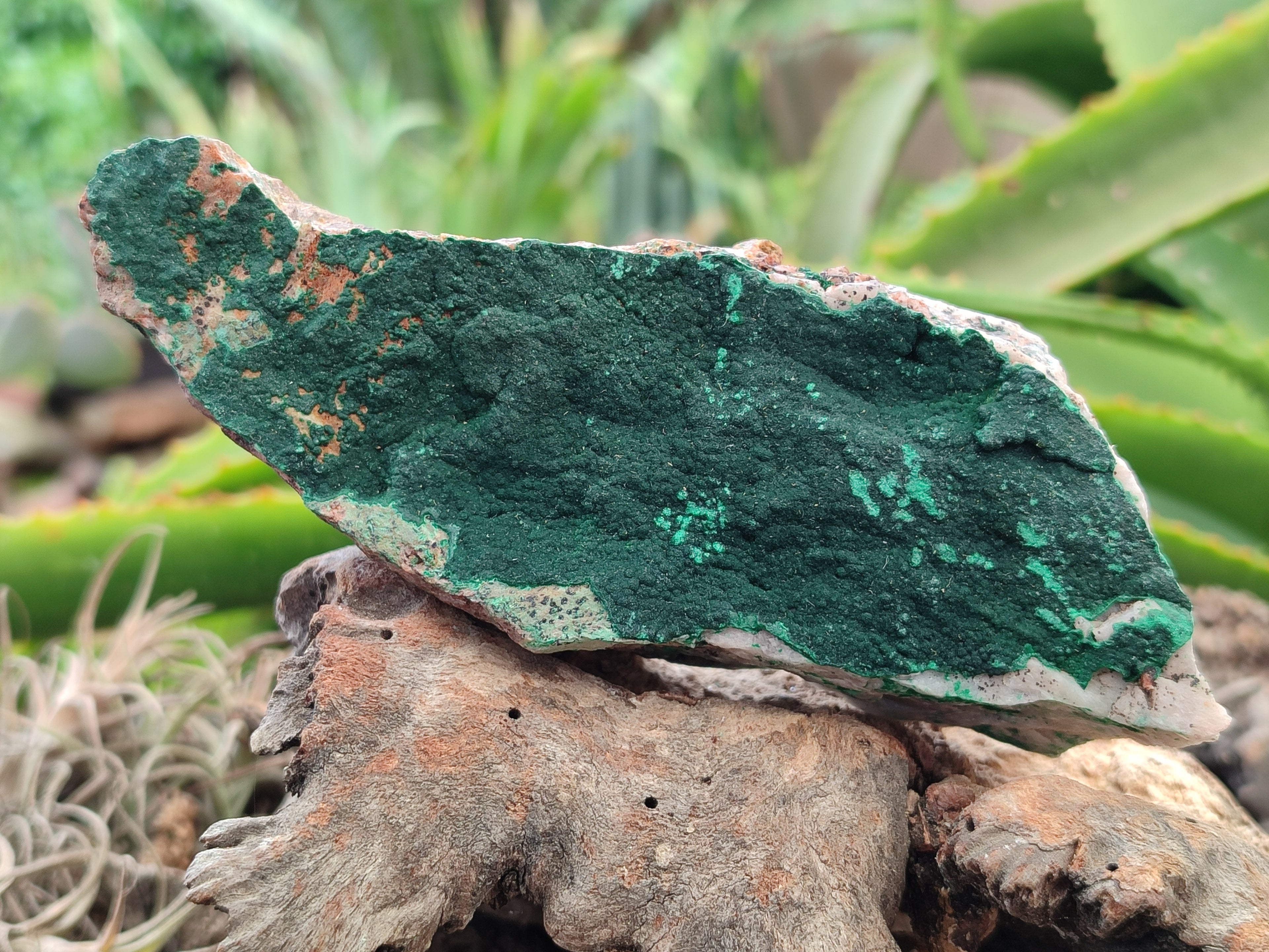 Natural Botryoidal Malachite Specimens x 6 From Tenke Fungurume, Congo - Toprock Gemstones and Minerals 