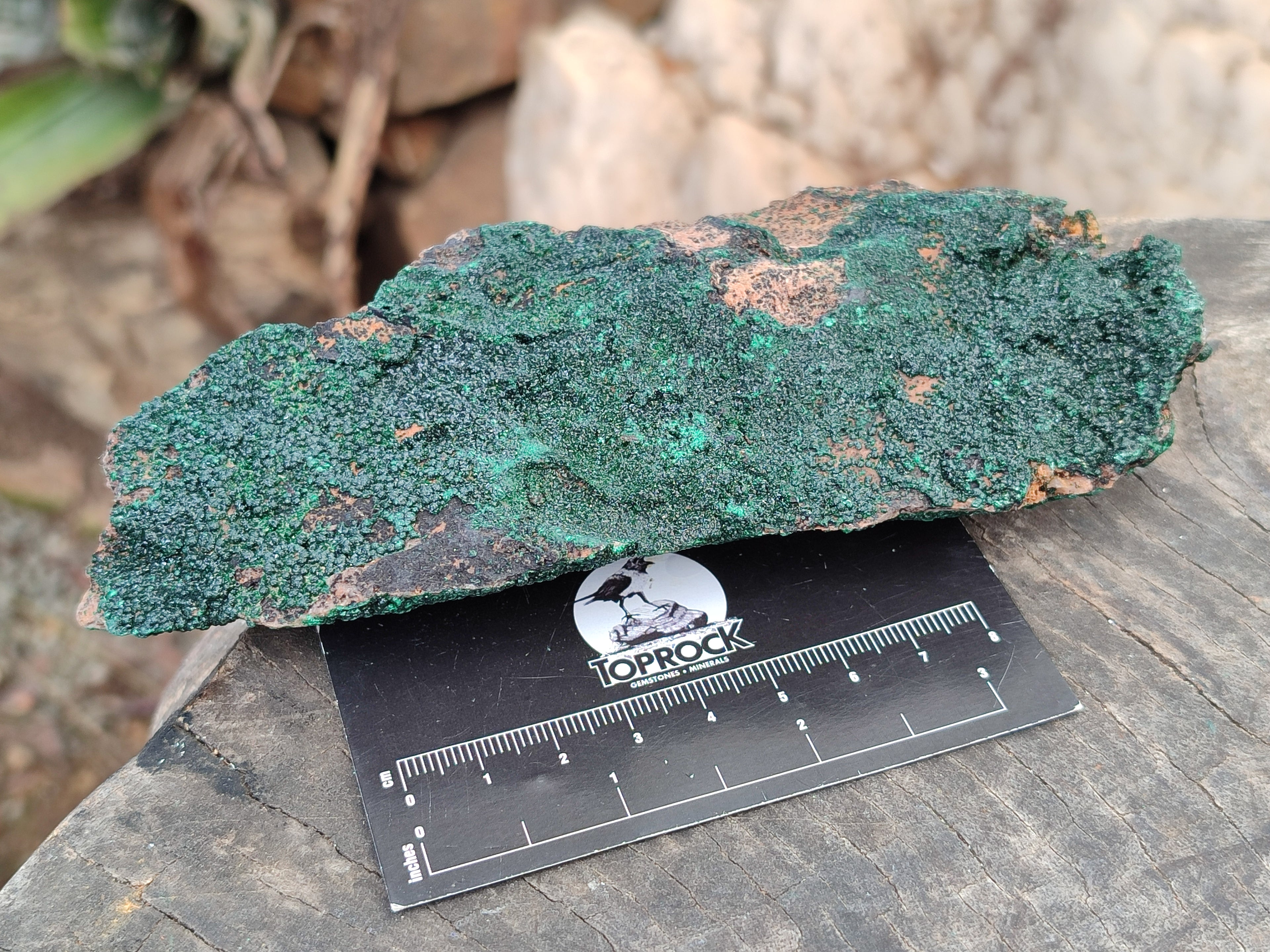 Natural Botryoidal Malachite Specimens x 6 From Tenke Fungurume, Congo - Toprock Gemstones and Minerals 