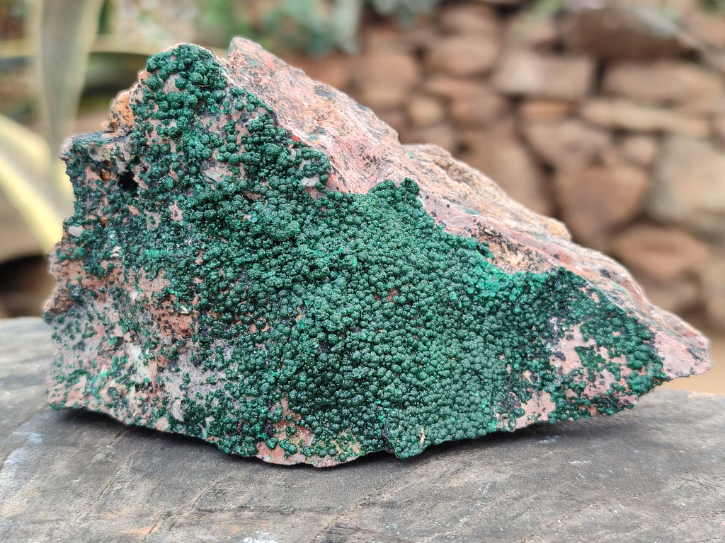 Natural Botryoidal Malachite Specimens x 6 From Tenke Fungurume, Congo - Toprock Gemstones and Minerals 