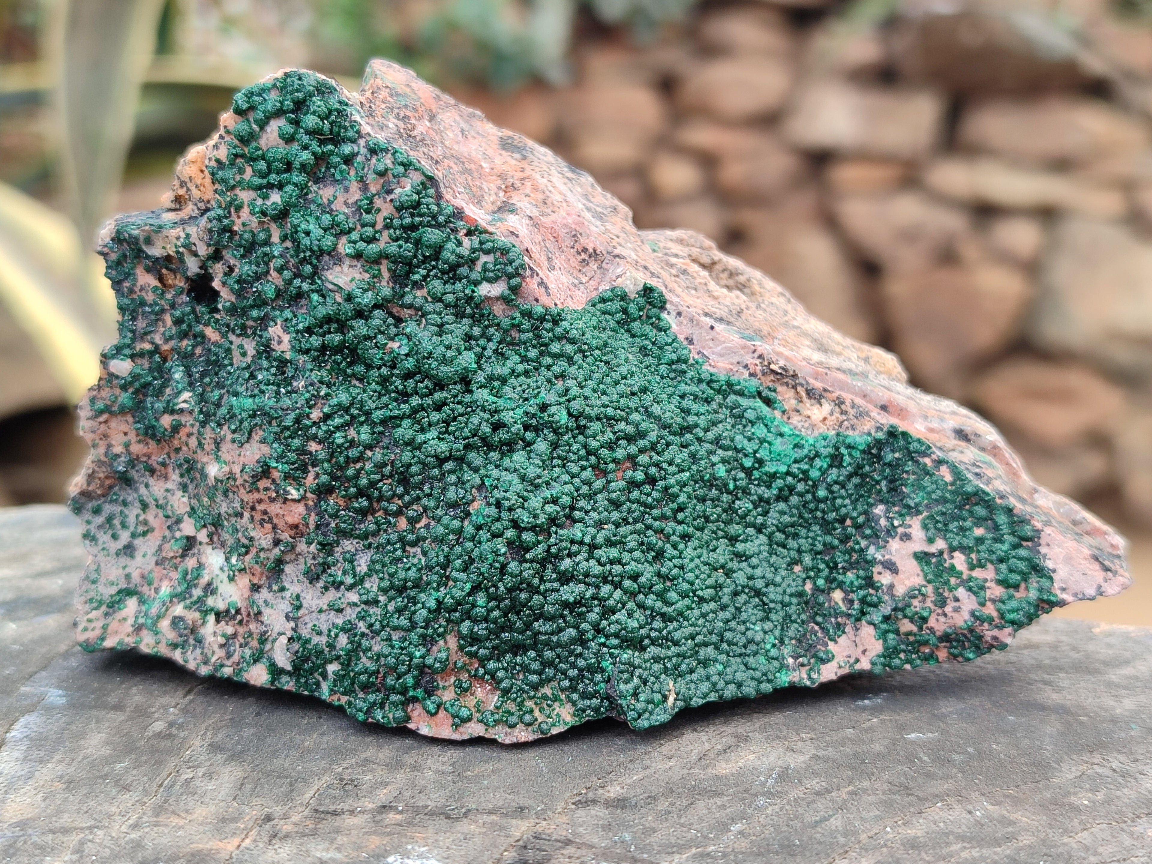 Natural Botryoidal Malachite Specimens x 6 From Tenke Fungurume, Congo - Toprock Gemstones and Minerals 