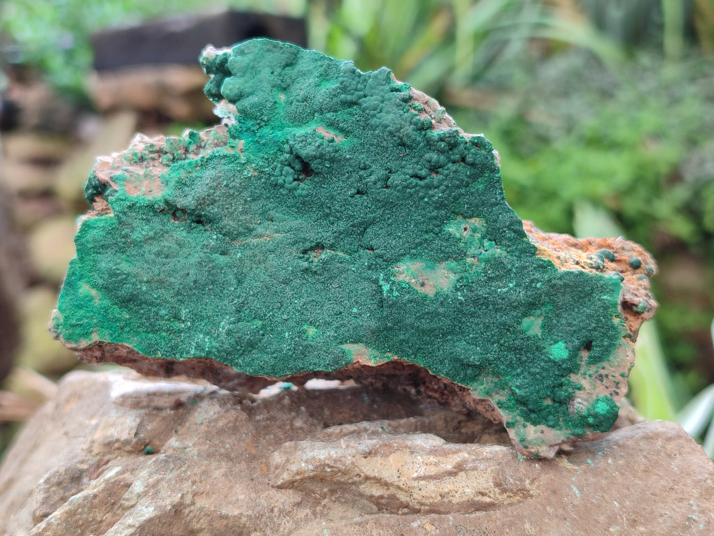 Natural Botryoidal Malachite Specimens x 6 From Tenke Fungurume, Congo - Toprock Gemstones and Minerals 