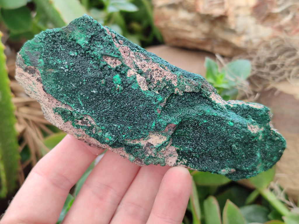 Natural Botryoidal Malachite Specimens x 6 From Tenke Fungurume, Congo - Toprock Gemstones and Minerals 