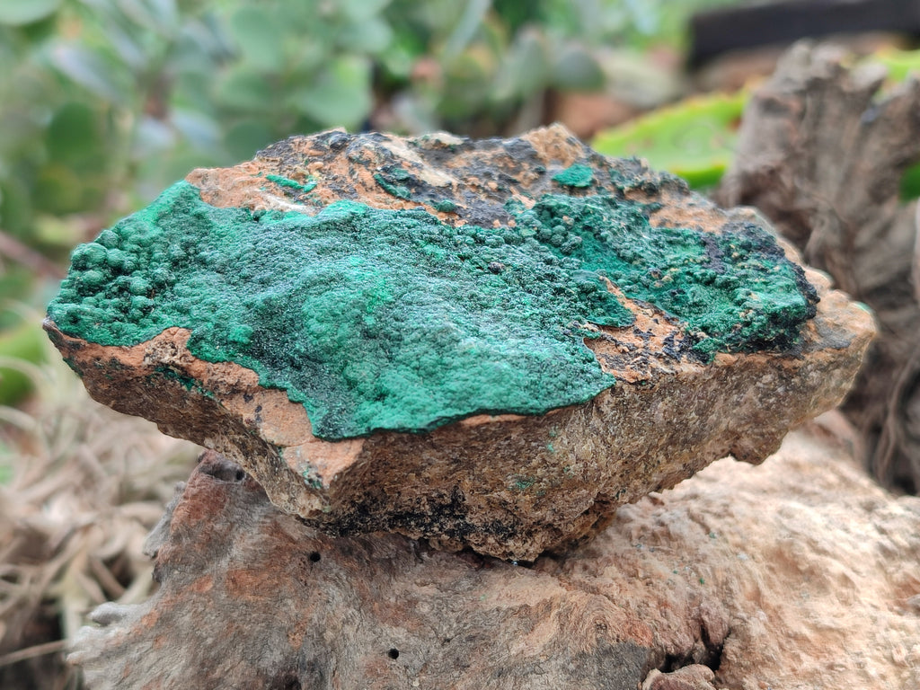 Natural Botryoidal Malachite Specimens x 6 From Tenke Fungurume, Congo - Toprock Gemstones and Minerals 