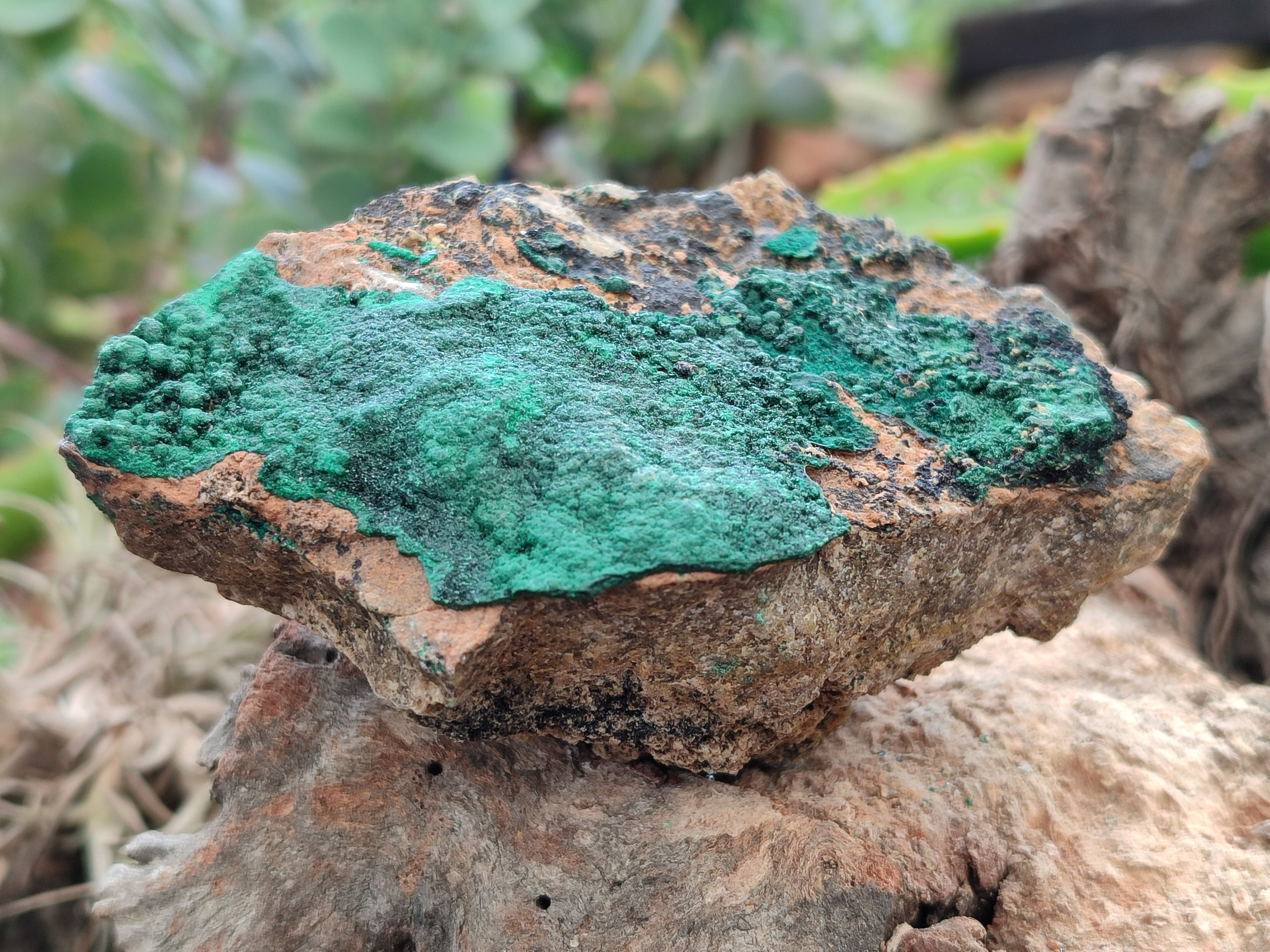 Natural Botryoidal Malachite Specimens x 6 From Tenke Fungurume, Congo - Toprock Gemstones and Minerals 