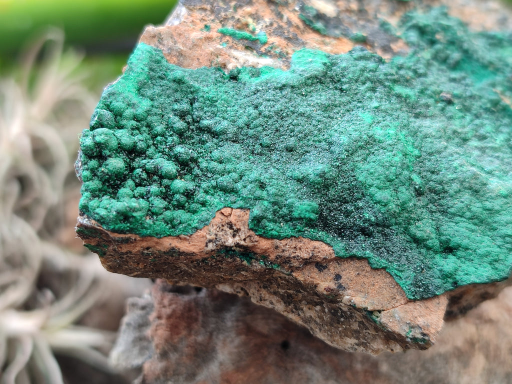 Natural Botryoidal Malachite Specimens x 6 From Tenke Fungurume, Congo - Toprock Gemstones and Minerals 