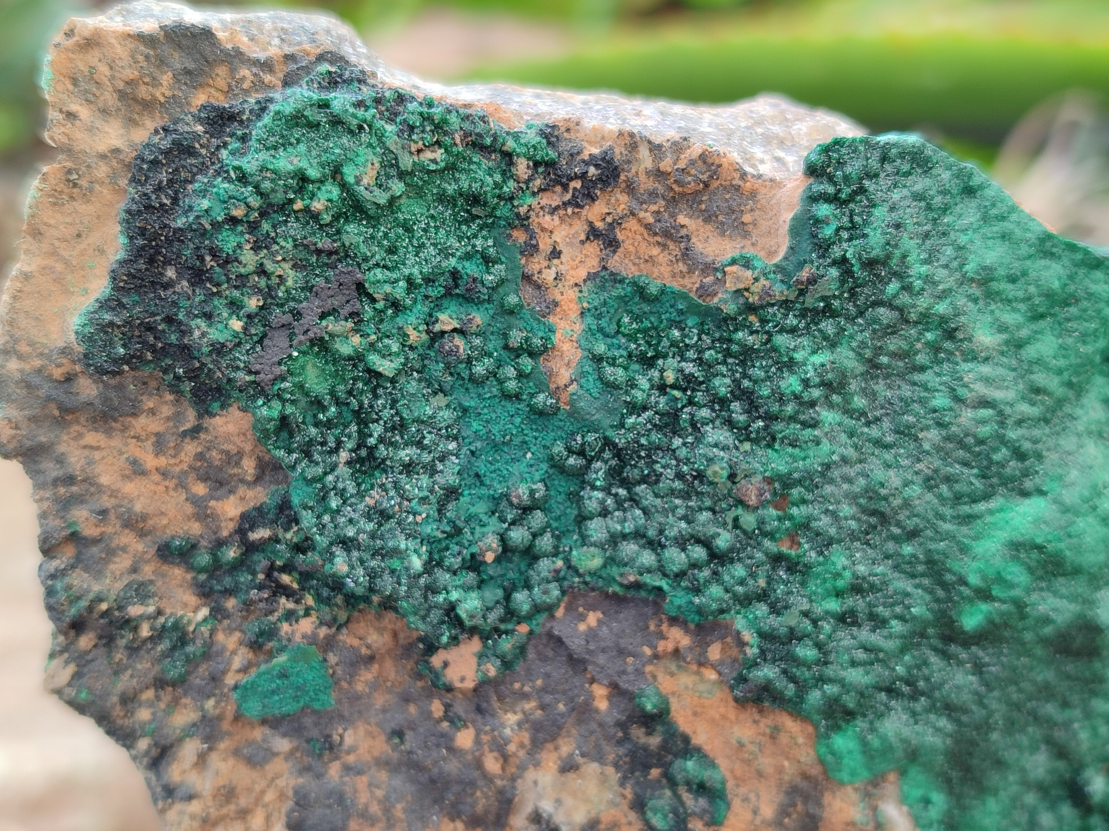 Natural Botryoidal Malachite Specimens x 6 From Tenke Fungurume, Congo - Toprock Gemstones and Minerals 