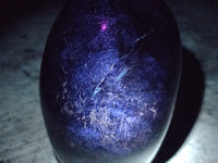 Polished Black Tourmaline Standing Free Form x 1 From Madagascar