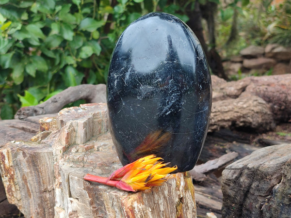 Polished Black Tourmaline Standing Free Form x 1 From Madagascar