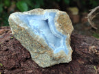Natural Blue Lace Agate Geode Specimens x 12 From Nsanje, Malawi - Toprock Gemstones and Minerals 