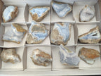 Natural Blue Lace Agate Geode Specimens x 12 From Nsanje, Malawi - Toprock Gemstones and Minerals 