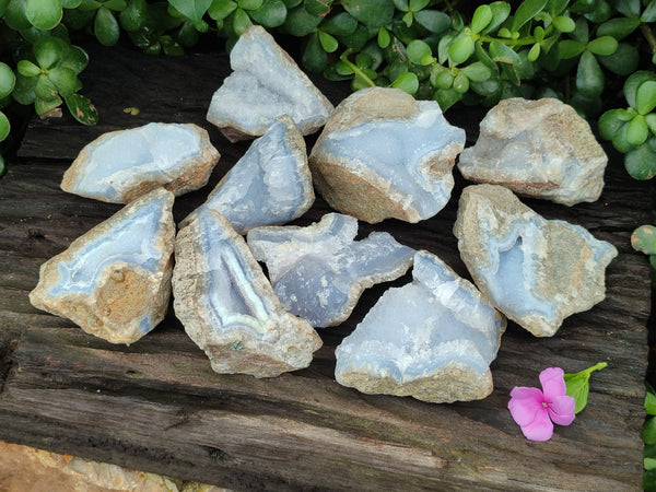Natural Blue Lace Agate Geode Specimens x 12 From Nsanje, Malawi