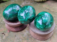 Polished Flower Banded Malachite Eggs x 5 From Congo