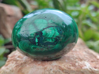 Polished Flower Banded Malachite Eggs x 5 From Congo