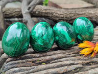 Polished Flower Banded Malachite Eggs x 5 From Congo