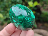 Polished Flower Banded Malachite Eggs x 5 From Congo