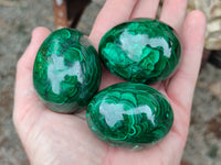 Polished Flower Banded Malachite Eggs x 5 From Congo