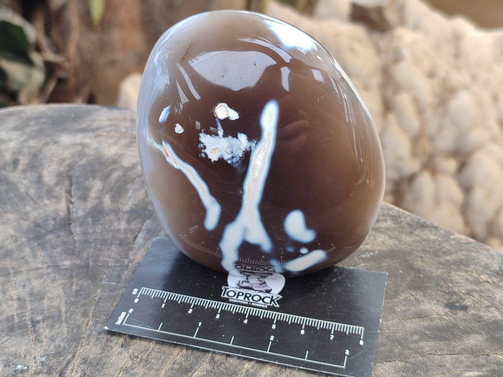 Polished Banded and Snow / Orca Agate Standing Free Forms x 3 From Madagascar - Toprock Gemstones and Minerals 