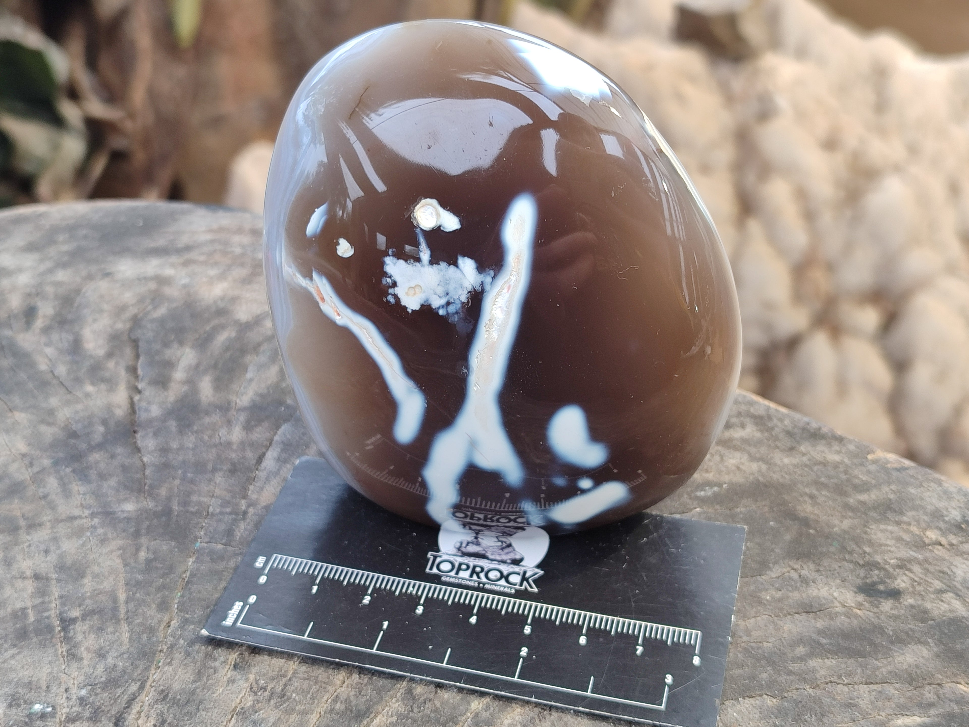 Polished Banded and Snow / Orca Agate Standing Free Forms x 3 From Madagascar - Toprock Gemstones and Minerals 