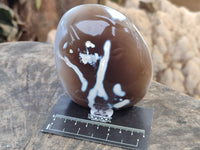Polished Banded and Snow / Orca Agate Standing Free Forms x 3 From Madagascar