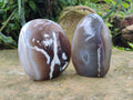 Polished Banded and Snow / Orca Agate Standing Free Forms x 3 From Madagascar - Toprock Gemstones and Minerals 