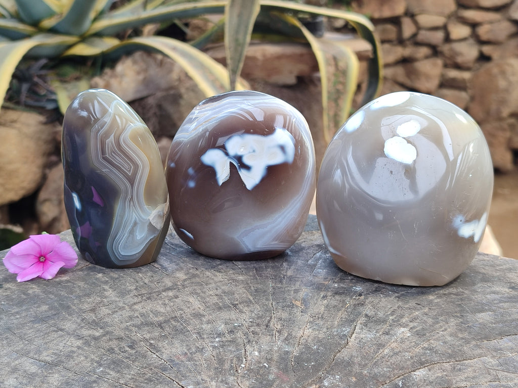 Polished Banded and Snow / Orca Agate Standing Free Forms x 3 From Madagascar - Toprock Gemstones and Minerals 