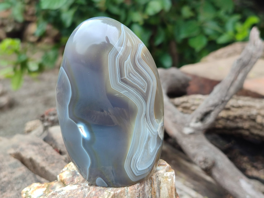 Polished Banded and Snow / Orca Agate Standing Free Forms x 3 From Madagascar - Toprock Gemstones and Minerals 