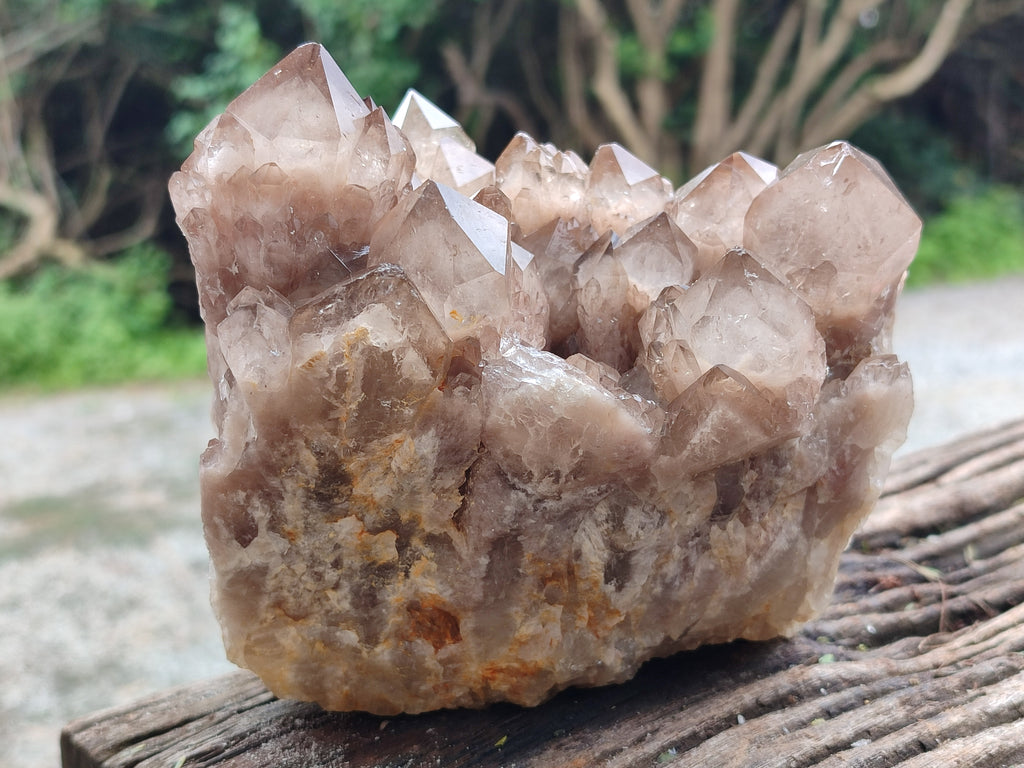 Natural Smokey Phantom Quartz Clusters x 2 From Luena, Congo - Toprock Gemstones and Minerals 