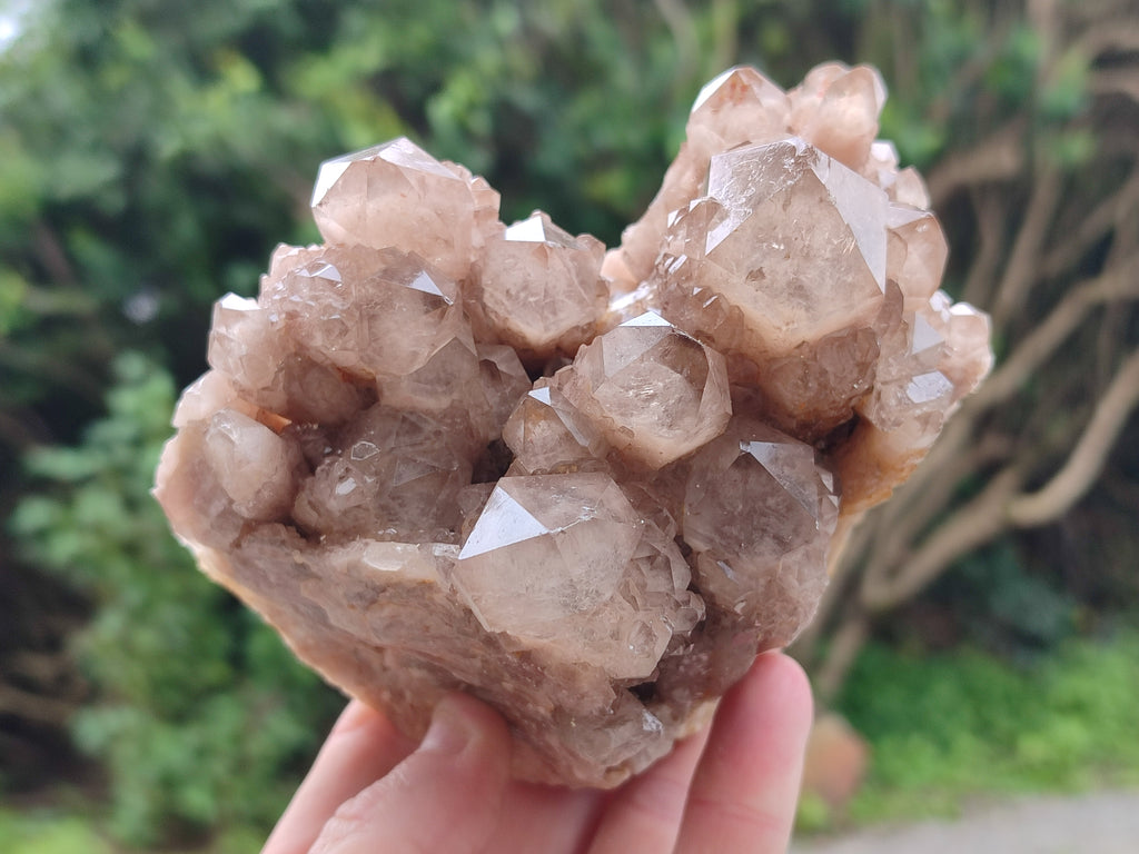 Natural Smokey Phantom Quartz Clusters x 2 From Luena, Congo - Toprock Gemstones and Minerals 