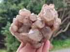 Natural Smokey Phantom Quartz Clusters x 2 From Luena, Congo - Toprock Gemstones and Minerals 