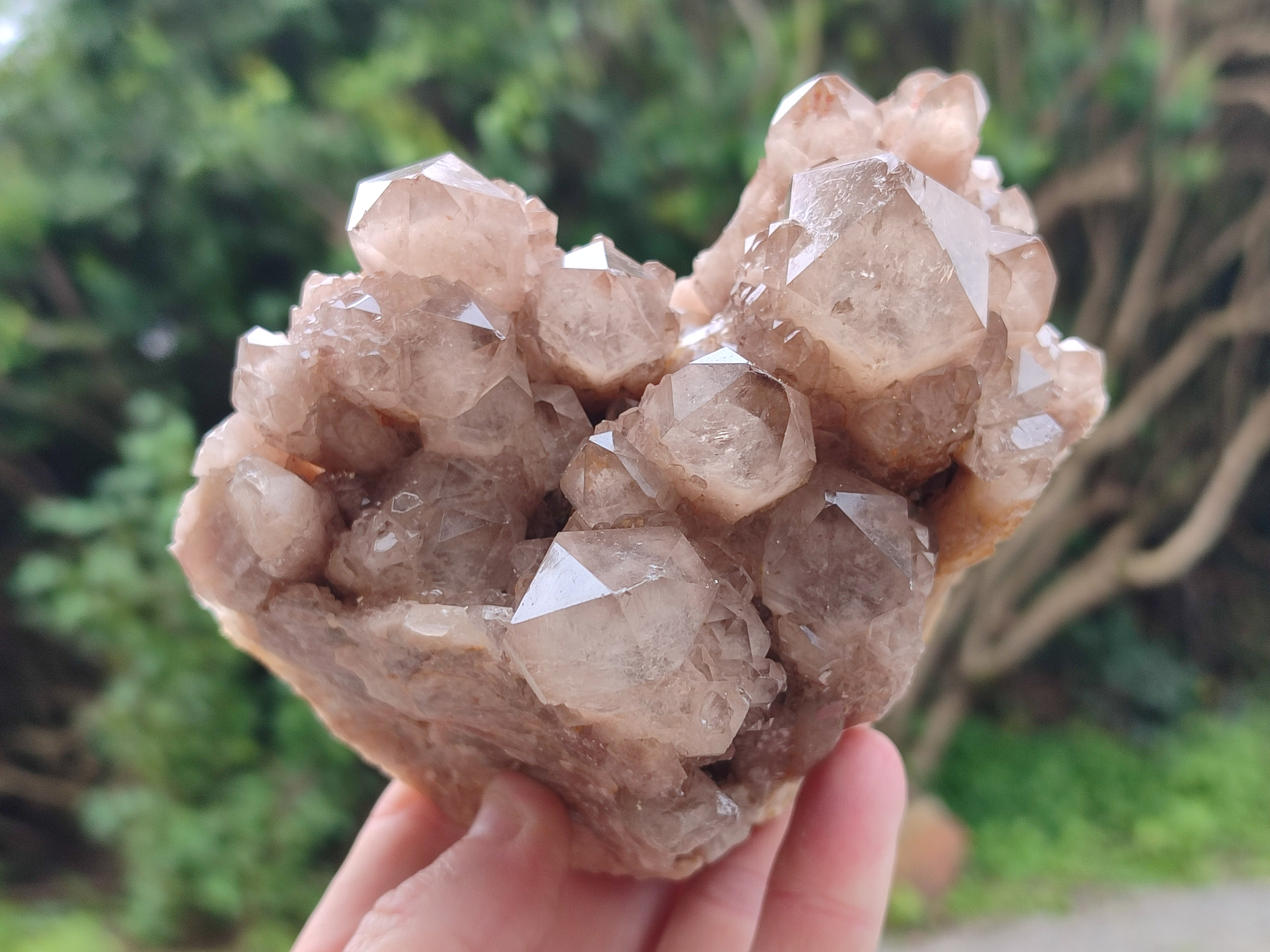 Natural Smokey Phantom Quartz Clusters x 2 From Luena, Congo - Toprock Gemstones and Minerals 
