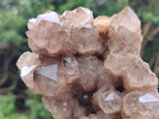 Natural Smokey Phantom Quartz Clusters x 2 From Luena, Congo - Toprock Gemstones and Minerals 