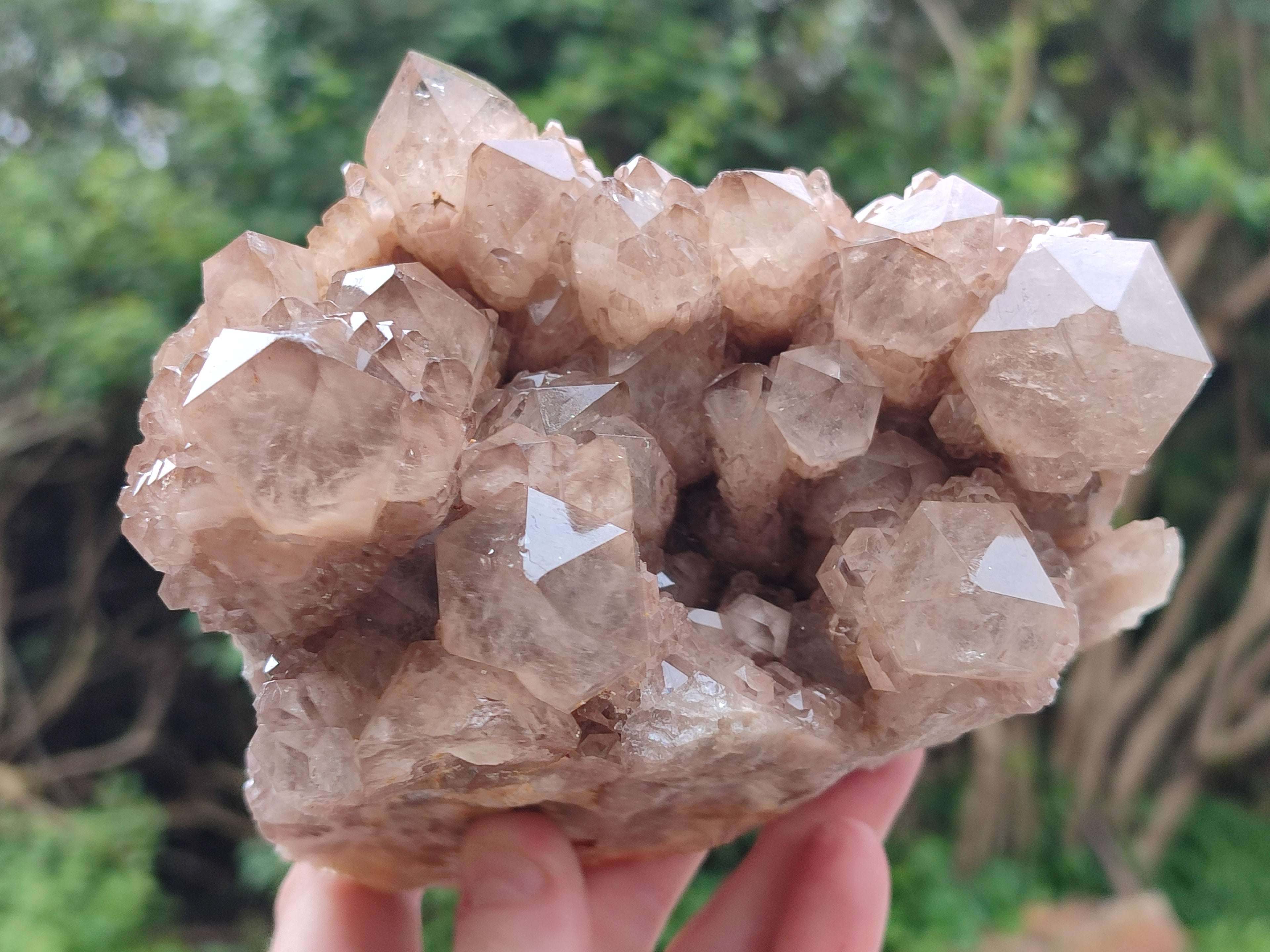 Natural Smokey Phantom Quartz Clusters x 2 From Luena, Congo - Toprock Gemstones and Minerals 