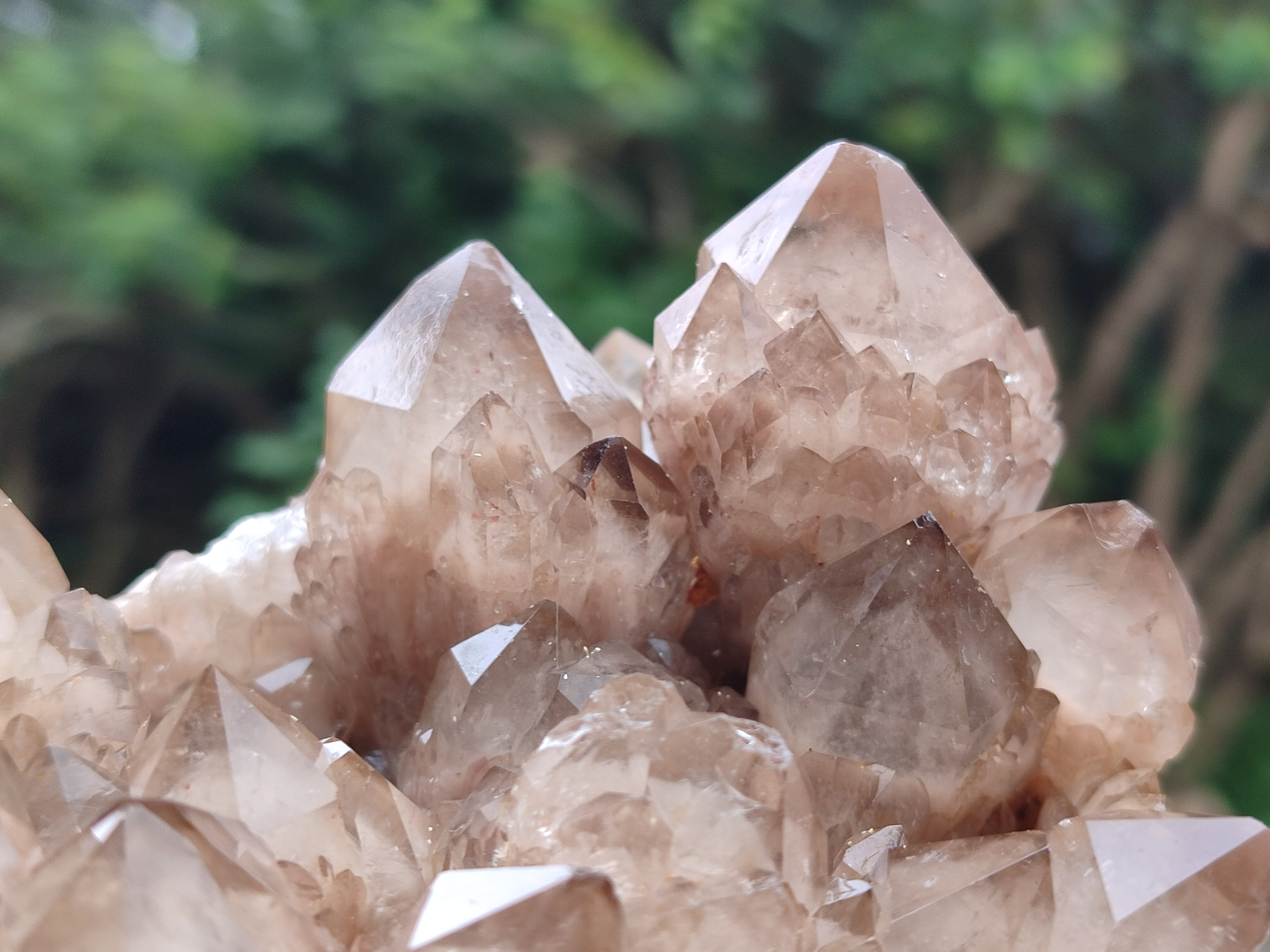 Natural Smokey Phantom Quartz Clusters x 2 From Luena, Congo - Toprock Gemstones and Minerals 