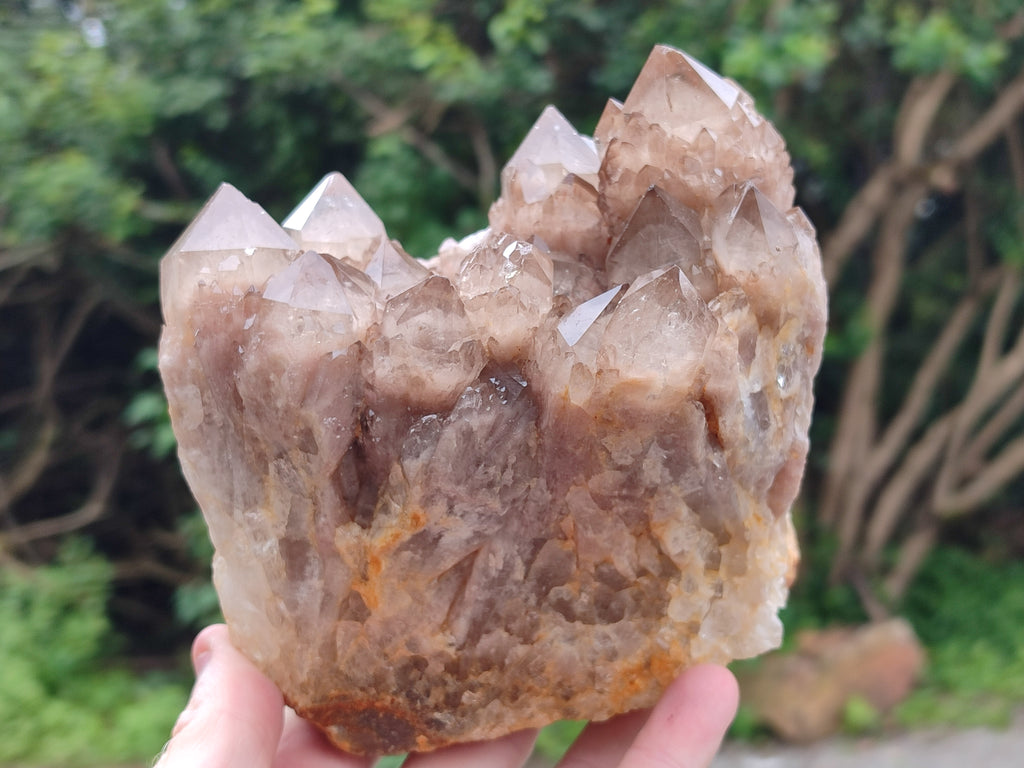 Natural Smokey Phantom Quartz Clusters x 2 From Luena, Congo - Toprock Gemstones and Minerals 
