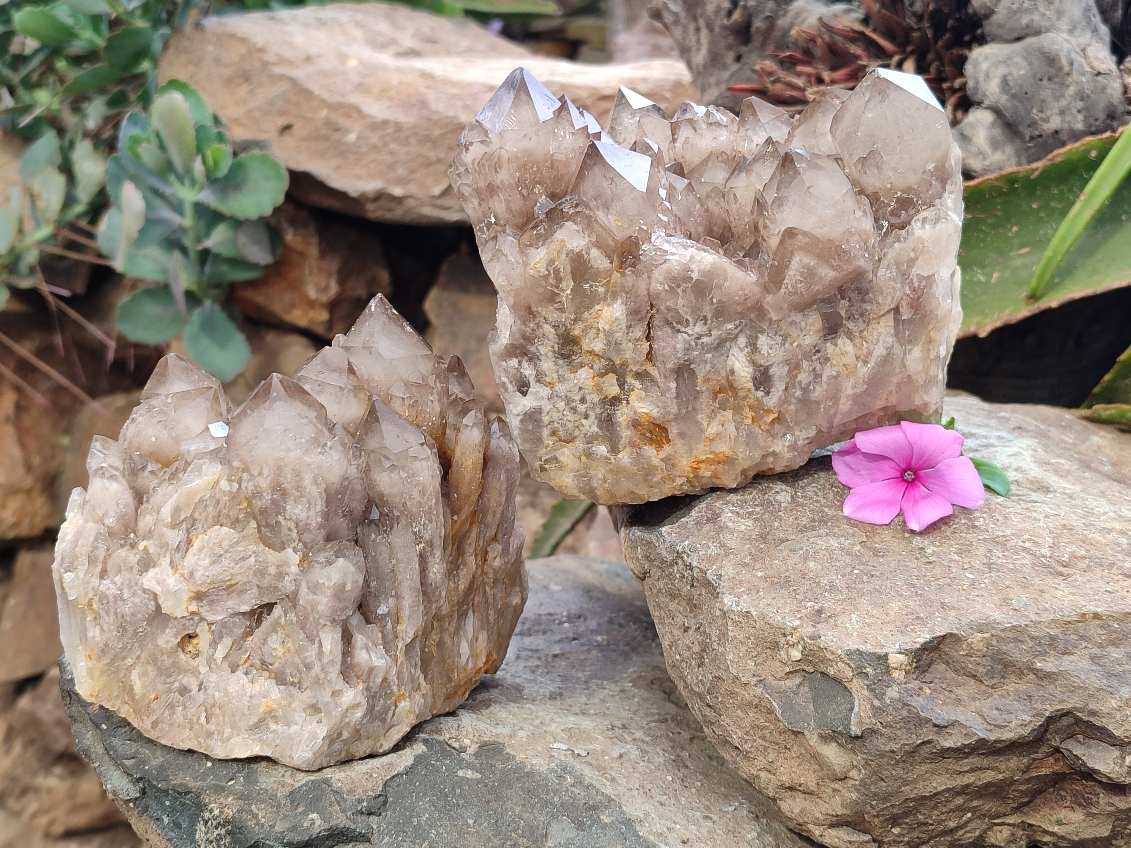 Natural Smokey Phantom Quartz Clusters x 2 From Luena, Congo - Toprock Gemstones and Minerals 